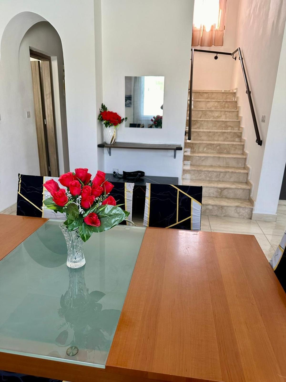Michael Angelo Villa 파포스 외부 사진